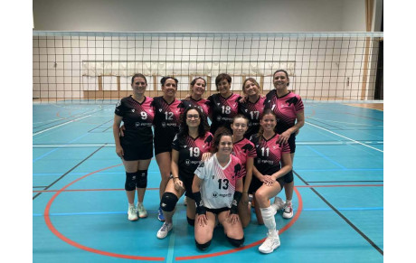 FFVB Départementale Féminine